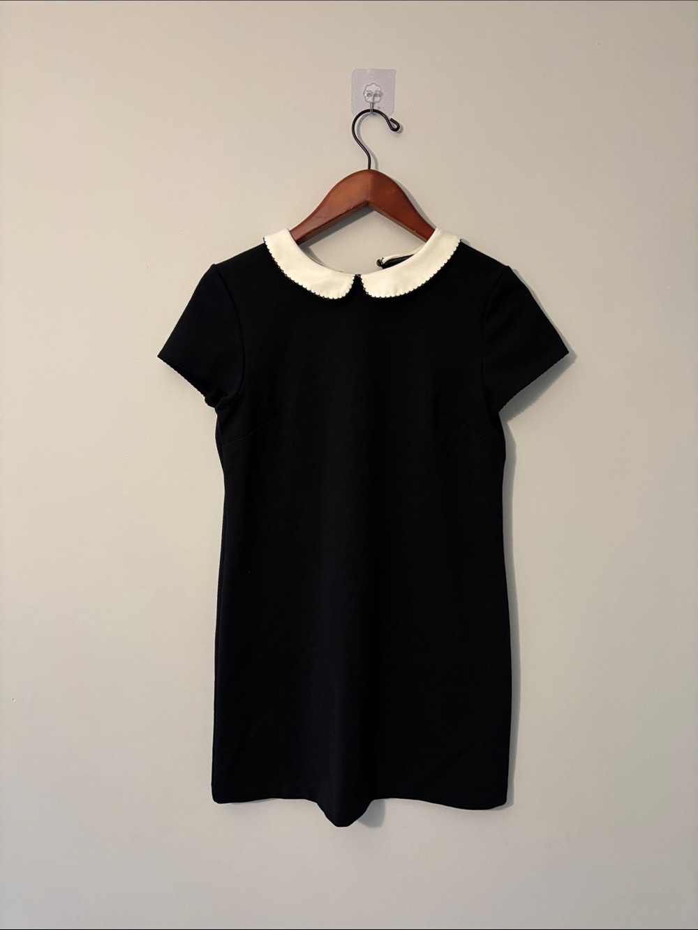 Cooperative Black Mini Dress with Cream Peter Pan Collar